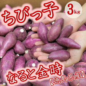 ܈  тqȂƋ 3kg Y