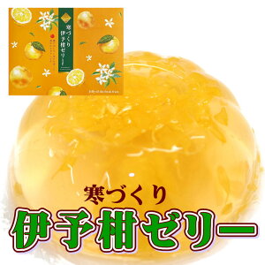 Âɗ\[[ 155g×12 Mtg ˓gp QY j j c 䋟