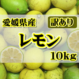 【訳あり】国産 レモン 約10kg　愛媛県産（れもん)【ワックス・防腐剤不使用】北海道・沖縄別途送料1000円