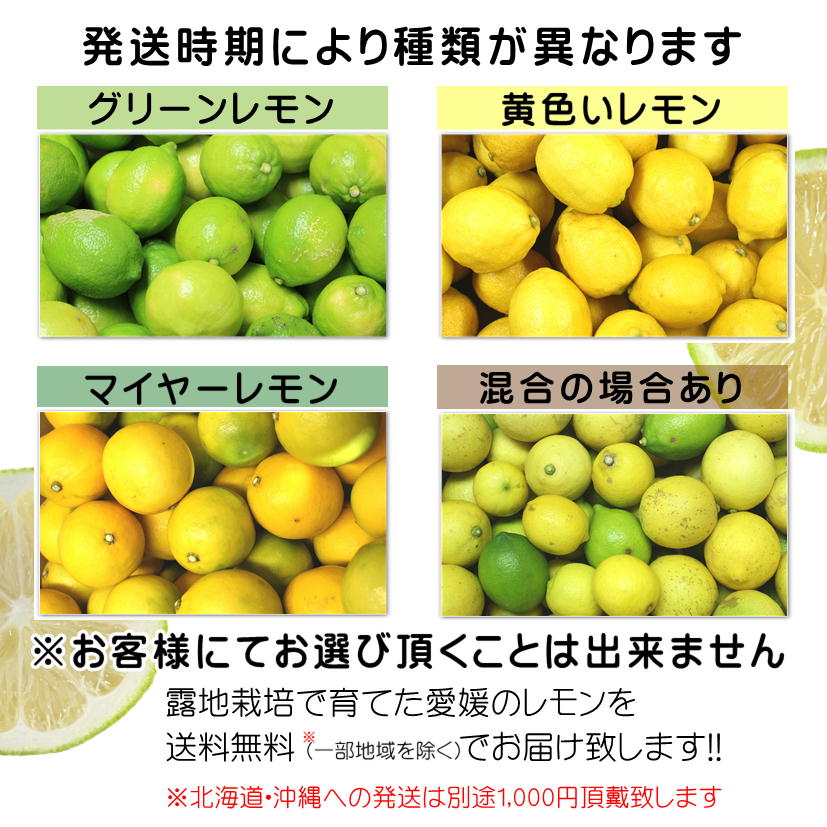 お徳用20kg 熊本県産マイヤーレモン 送料無料