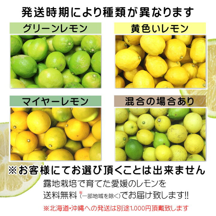 楽天市場 訳あり 国産 レモン 約10kg 愛媛県産 れもん ワックス 防腐剤不使用 北海道 沖縄別途送料1000円 せいぶ青果楽天市場店