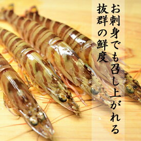 楽天市場 刺身 エビの種 しゅ ブラックタイガー エビ 魚介類 水産加工品 食品の通販