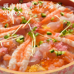 i J{C  CV Gr t Ɩp ͂ ] 芪 i l^ CN  Ⓚ ʔ  lC  hg  炵i `Vi