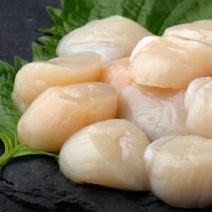 ق L 1kg kCY Ⓚ  L 1kg z^e hg  TCYsꌇ hg 芪i ]i CN hg 炵i H CN BBQ o^[\e[ zCĂ 