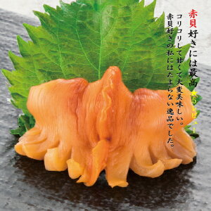 ԊL 嗱 J 40 (20×2) LTCY 16g hg L AJKC  L Ɩp J il^ H ԊL hg 芪 CN  ]i i Ⓚ ʔ lC { Yn o^[Ă o^[u