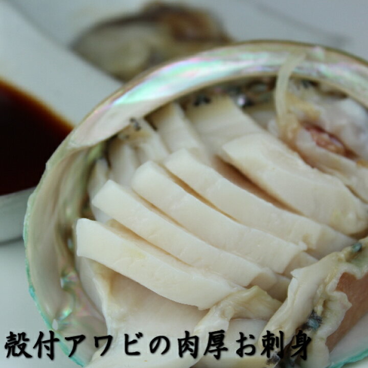 楽天市場 ポイント倍 お刺身 あわび 殻付 翡翠の瞳 サイズ 7粒 1kg 最大級 鮑 アワビ 高級 魚介類 食材 通販 食べ方 バター焼き 柔らか煮 さばき方 茸 ステーキ 鉄板焼 醤油 グリル バーベキュー 肝 ボイル 縁起物 懐石 中華