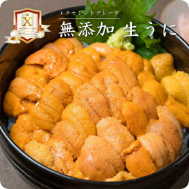 ＼ 最高等級 ／ 無添加 生 ウニ 100g～ ミョウバン不使用 エクセレントを冠する 最上級グレードX チリ産ウニ