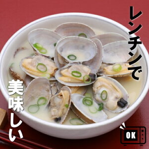 kt  LTCY 500g 41- 50 AT  Ⓚ  M ` Vs  o^[ pX^ {SrAR o^[ݖ Aq[W X` N`E_[ pG
