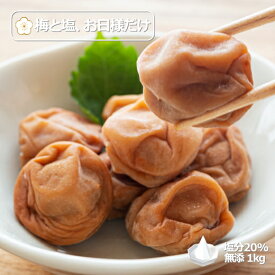 紀州南高梅 国産 梅干し 無添加 1kg 塩分濃度20% すっぱい 美味しい 常温