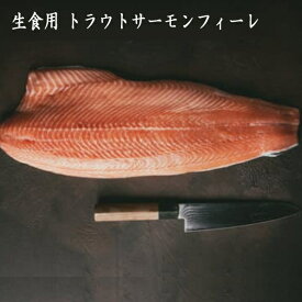 トリムE 訳あり【真空漏れ 身割れ 霜付きなどの商品です】お刺身サーモン 約700g トラウトサーモン 刺身用片身 皮剥ぎ骨取り