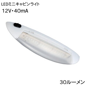 y30܂ŃGg[P10{!z  LED ~jLrCg 12V 40mA 30[ | } D {[g Cg  LsOJ[ LuR Lr ԓ D Ɩ  RpNg 