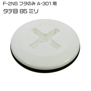 y30܂ŃGg[P10{!z CP_ XJbp[ F-2NS W t^ A-301p ^e | 85~ 3C` XJbp[ tBbVO ނ  Cނ  tBJo[  {[gpi {