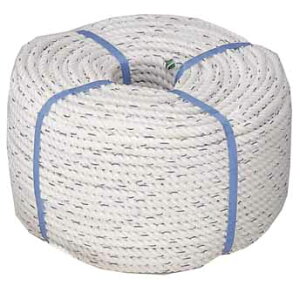 y30܂ŃGg[P10{!z RC [v 3ł a14mmxS100m | WD W {[g ₢[v d CJ gq Cxg eg H Ղ zCXg j AX`bN 䕗 