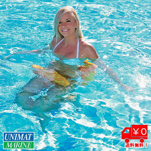 y30܂ŃGg[P10{!z AIRHEAD Tht[^? IW 81x41x4.5cm | t[^? IWF r[` C v[ C C ċx } ~x s EH[^[gC   