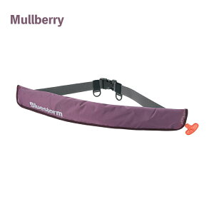 y30܂ŃGg[P10{!z Bluestorm Re \o[EGXg BSJ-5930RS | yʏȌ^F c ~p  CtWPbg X^Cv lC ނ tBbVO CWP }