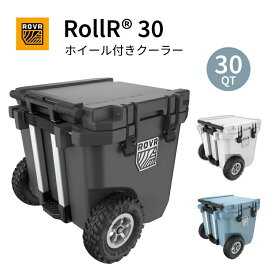 楽天市場】【ポイント10倍】Springfield トランサムセーバー 65〜96cm 