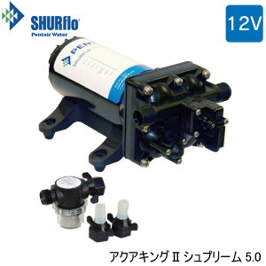 �y�G���g���[�œX��P5�{�z�V���t�� Shurflo �v���b�V���[�|���v �A�N�A�L���OII �V���v���[�� 12V 4158-153-E75 | PENTAIR 5.0 GPM