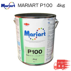 31܂ŃGg[P10{I{yCg} D̗p vC}[ oC_[R[g}A[g P-100 O[ 4kg iԍF23504