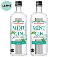 セイコーマート Secoma ミントクラフトジン 720ml 2本セット セイコーマート セコマ ミント 和ハッカ 滝…