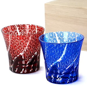 SEIDO ؎q OX yAZbg bNOX I[hOX ĒOX ˔ 240ml