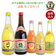女子会セット リキュール　沖縄土産 ギフト 送料込み梅酒 ゆず酒 プラス1本　720ml 3本セット 請福酒造 …