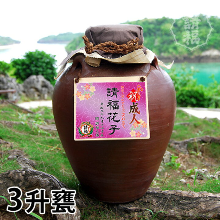 月の中 亀 25度 5400ml