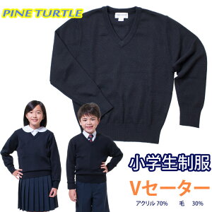 XN[ Z[^[  n VlbNyjpzw  wilCr[/XN[Z[^[/XN[jbg/PINE TURTLE/q/tH[}/q/LbY/WjA/jq/q/wZ/wZ/ʊw