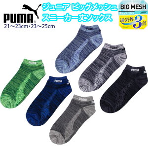 v[} PUMA bVf Xj[J[ \bNX WjA ~bNX J[ S 3Zbg rbObV ʋC 4293-180 (ubN/O[/u[/O[/Z/C//q/LbY/j