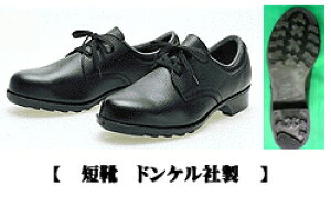 SC@ZC@LOTCY@601@hPhP̒ԈSCł