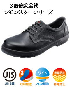 SC ySX3w\̈SC@ZC@V@SS11 zɂAϋvɗDꂽʃf