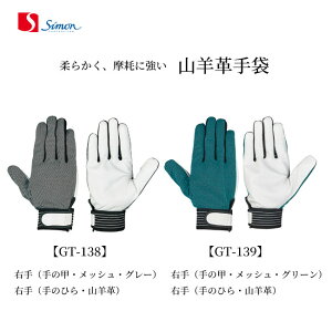 Ɨp Rrv܁@yVz@GT-138 GT-139