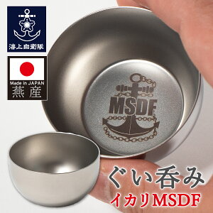 y9/10܂ 10z C㎩q ObY ̂ ( CJMSDF ) 傱 ۂ XeX  70ml 傱  OX  {  O  V v[g Mt