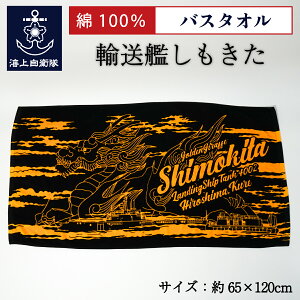 C㎩q ObY oX^I ( A͂ ) Type2 qObYE^I X|[c X|[cϐ  AEghA Lv W C  100