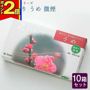 yP2{|X[p[SALEzy10Zbgz  pyԂ̍V[Y  220{×10ze   O d [CmZX  O   ~