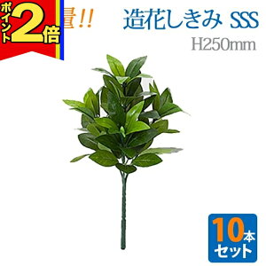 yP2{|}\z_e 10{Zbg^y  SSSz S25cm nw ܂Ŗ{ VL~   d  SGI ܂Ƃߔ      