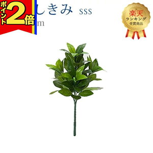 y|Cg2{zyyV1ʁzy  SSSz S25cm nw 傢 ܂Ŗ{ VL~   d  SGI     d Q ފ ~ 