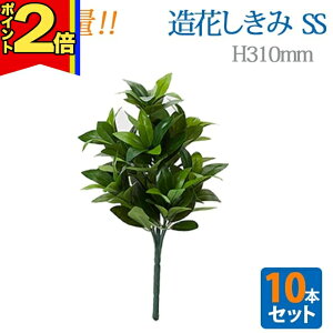 yP2{|}\z_e 10{Zbg^y  SSz S31cm nw ܂Ŗ{ VL~   d  SGI ܂Ƃߔ       
