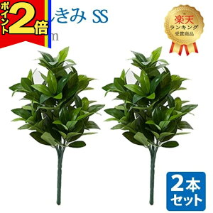 yP2{|X[p[Z[zyyV1ʁz_2{ZbgI^y  SSz S31cm nw ܂Ŗ{ VL~   d  SGI     d 