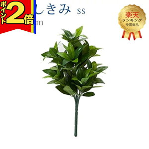 y|Cg2{zyyV1ʁzy  SSz S31cm nw ܂Ŗ{ VL~ 傢   d  SGI     d Q ފ ~ 