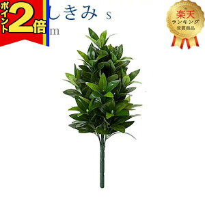 yP2{|X[p[Z[zyyV2ʁzy  Sz S37cm nw ܂Ŗ{ VL~   d  SGI     d Q ފ ~ 