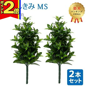 【P2倍|スーパーセール限定】【楽天1位】＼お得な2本セット！／【造花 しきみ MS】対 全長約50cm 創価学会 まるで本物 シキミ しきび 樒 仏壇 仏具 SGI おしきみ おしきび しきみ お供え 仏壇 墓参り お彼岸 お盆 造花