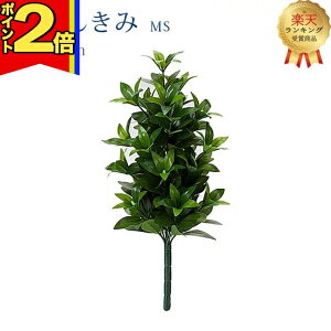 yP2{|X[p[Z[zyyVLO2ʓ܁zy  MSz S50cm nw ܂Ŗ{ VL~   d  SGI     d Q 