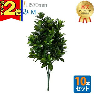 yP2{|X[p[Z[zyyV1ʁz_e 10{Zbg^y  Mz S57cm nw ܂Ŗ{ VL~   d  SGI ܂Ƃߔ    