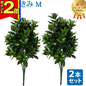 【P2倍|スーパーセール限定】【楽天1位】＼お得な2本セット！／【造花 しきみ M】対 全長約54cm 創価学会 まるで本物 シキミ しきび 樒 仏壇 仏具 SGI おしきみ おしきび しきみ お供え 仏壇 墓参り お彼岸 お盆 造花