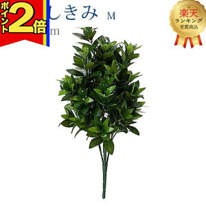 yP2{|X[p[Z[zyyV2ʁzy  Mz S57cm nw ܂Ŗ{ VL~   d  SGI     d Q ފ ~ 