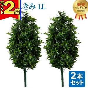 yP2{|X[p[Z[zyyV1ʁz_2{ZbgI^y  LL zS82cm nw ܂Ŗ{ VL~   d  SGI     d Q
