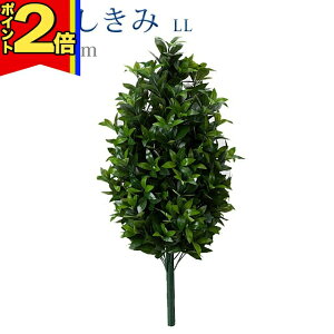 yP2{|}\zy  LLz S82cm nw ܂Ŗ{ VL~   d  SGI     d Q ފ ~ 