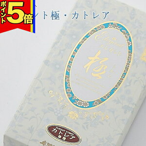 yP5{|X[p[SALEz  pyGKgɁEJgA 100gz  O dp [CmZX   JgA 쐰 ~