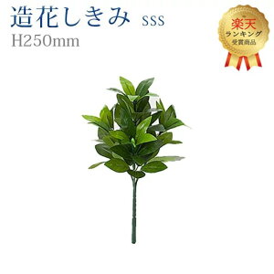yyV1ʁzy  SSSz S25cm nw 傢 ܂Ŗ{ VL~   d  SGI     d Q ފ ~ 