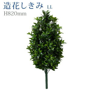 y  LLz S82cm nw ܂Ŗ{ VL~   d  SGI     d Q ފ ~ 